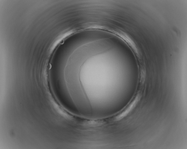X0000114690806200910211311