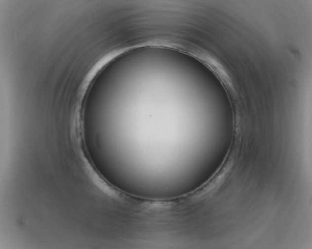 X0000114690808200910211311