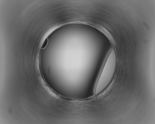 X0000114690812200910211311