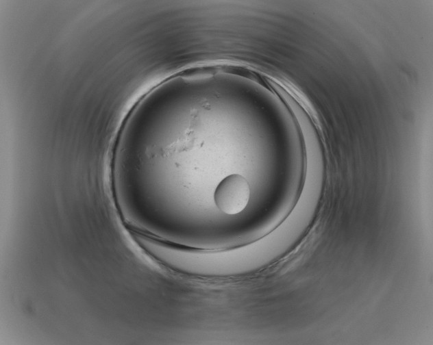 X0000114690813200910211311