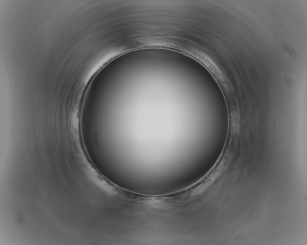 X0000114690814200910211311