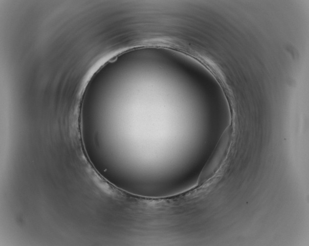 X0000114690816200910211311