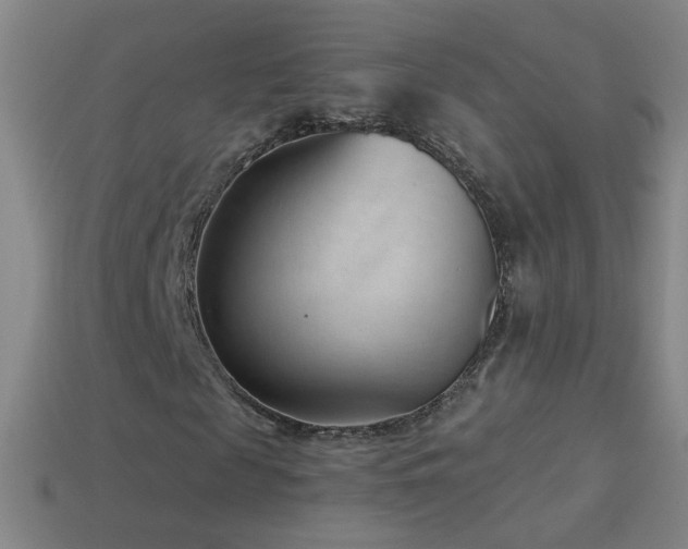 X0000114690817200910211310