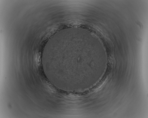 X0000114690818200910211310