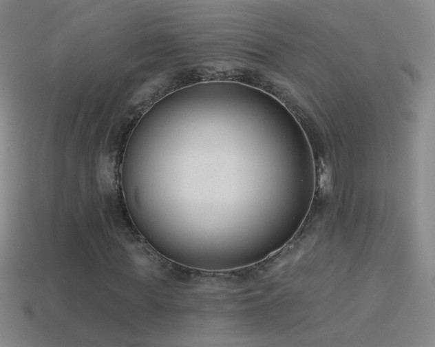X0000114690819200910211310