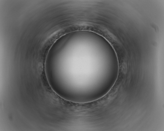 X0000114690821200910211310