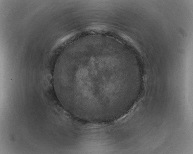 X0000114690822200910211310