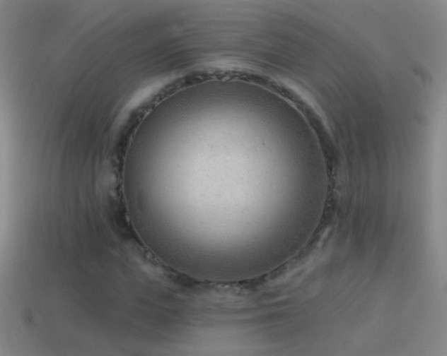 X0000114690823200910211310