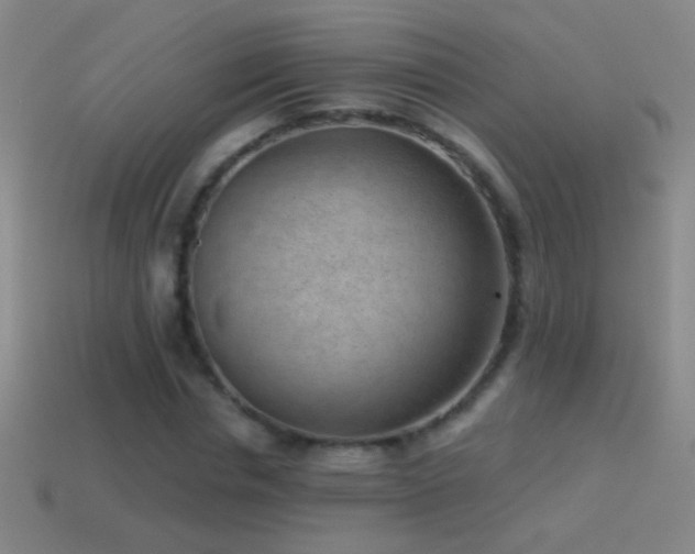 X0000114690826200910211310