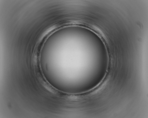 X0000114690827200910211310