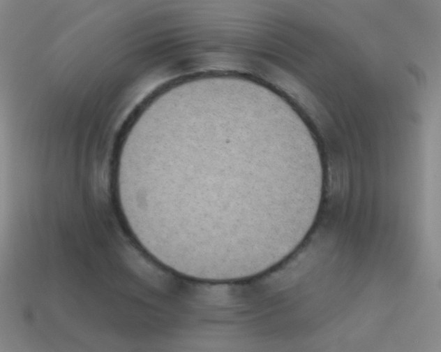 X0000114690828200910211310