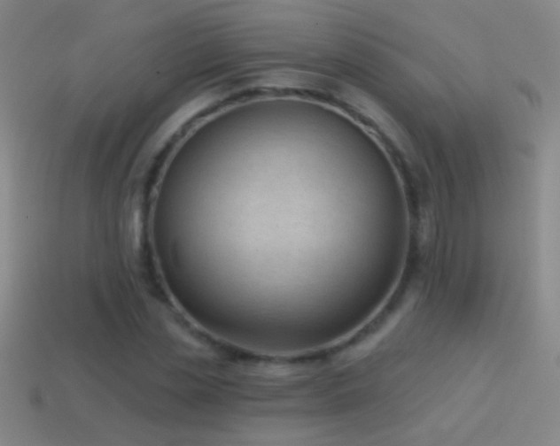 X0000114690829200910211311