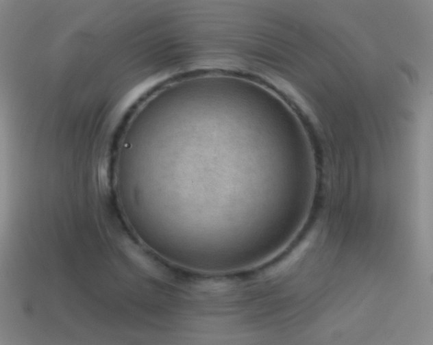 X0000114690830200910211311