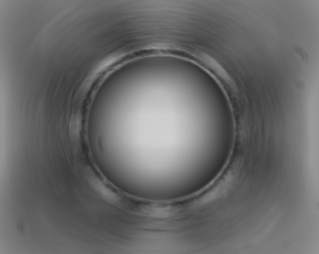 X0000114690831200910211311
