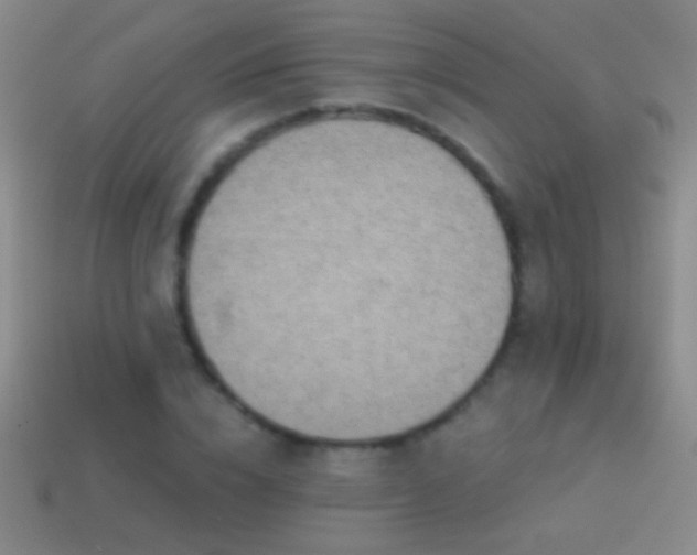 X0000114690832200910211311