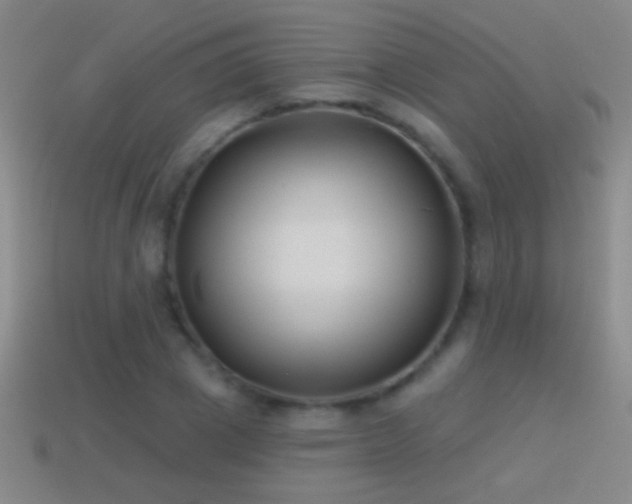 X0000114690833200910211311