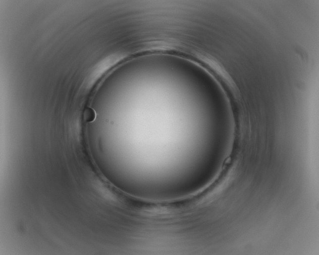 X0000114690834200910211311