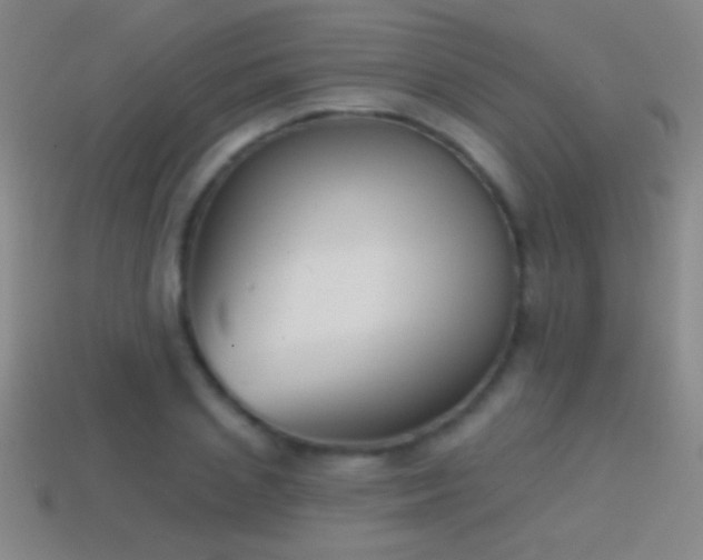 X0000114690837200910211311