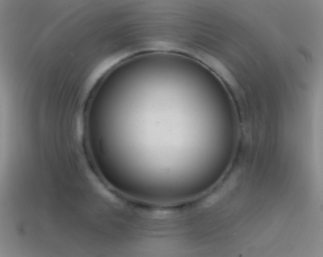 X0000114690839200910211311
