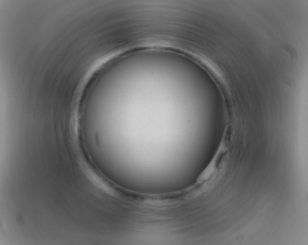 X0000114690840200910211311