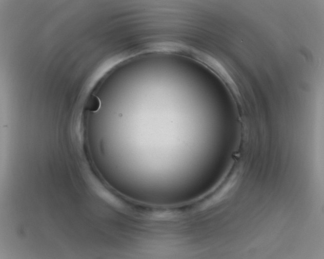 X0000114690843200910211311