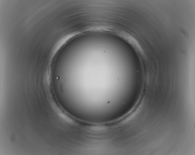 X0000114690844200910211311