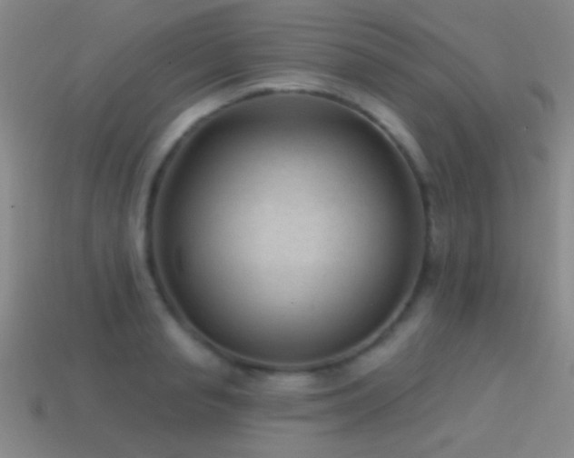 X0000114690845200910211311