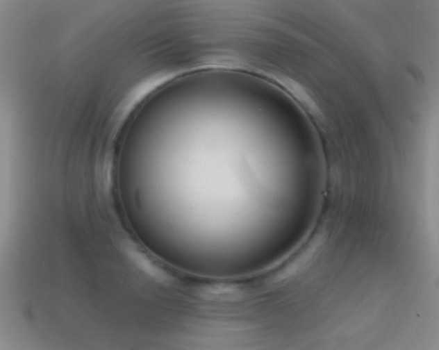 X0000114690846200910211311