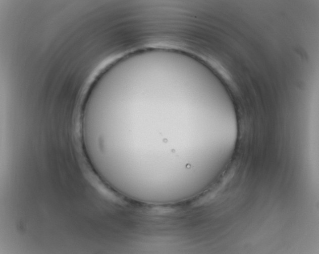 X0000114690848200910211311