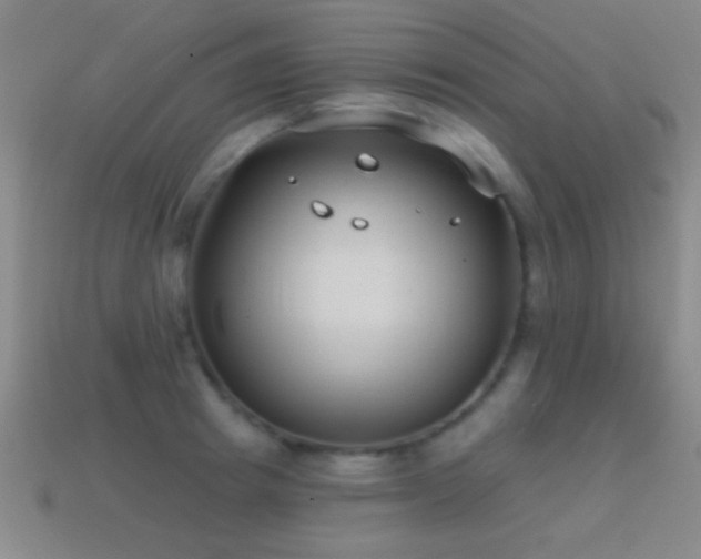 X0000114690849200910211311