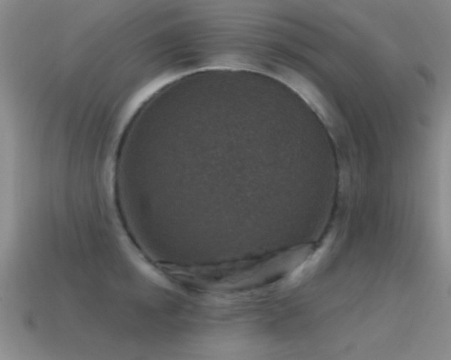 X0000114690854200910211311
