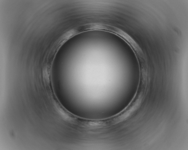 X0000114690857200910211311