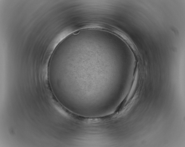 X0000114690858200910211311