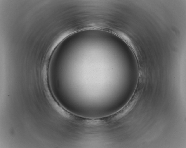 X0000114690859200910211311