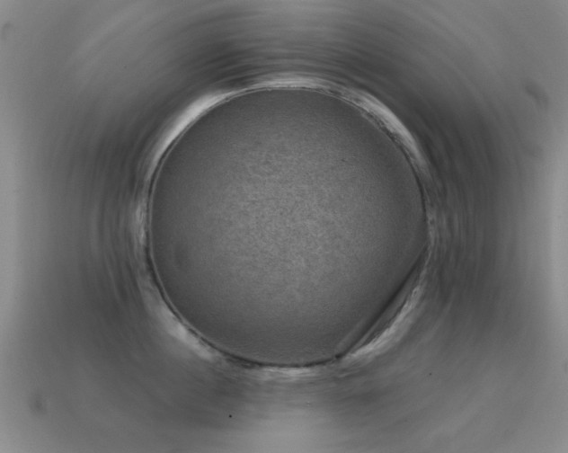 X0000114690860200910211311