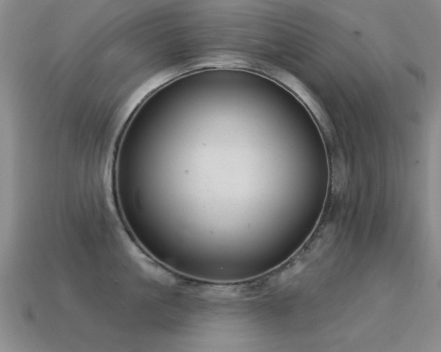 X0000114690861200910211311