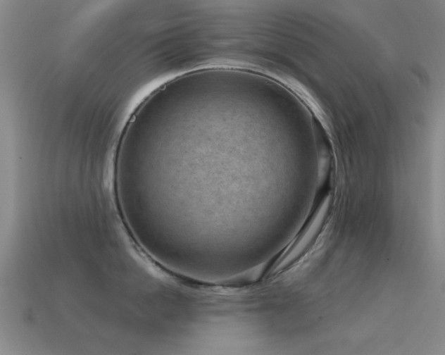 X0000114690862200910211311