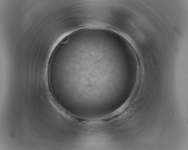 X0000114690864200910211311