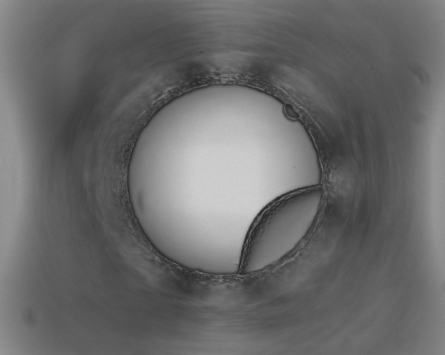 X0000114690865200910211310