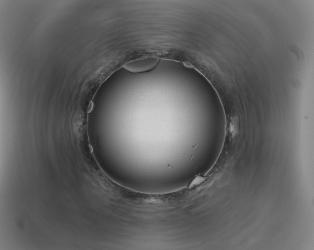 X0000114690867200910211310