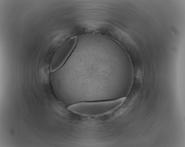 X0000114690868200910211310