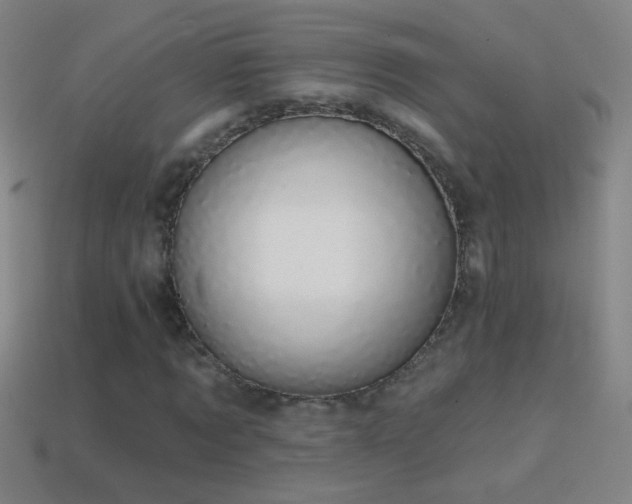 X0000114690869200910211310