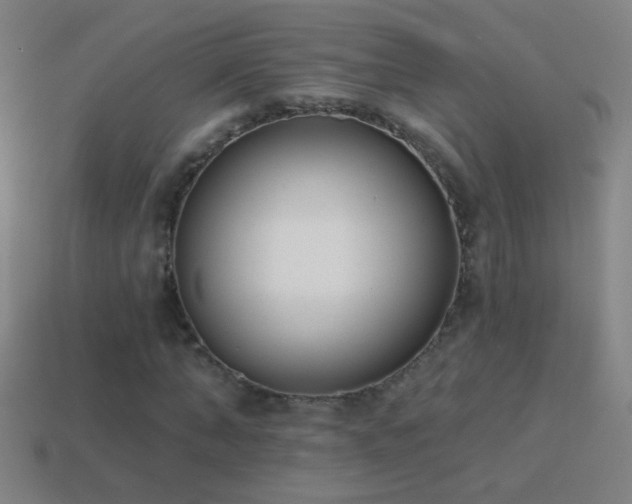 X0000114690870200910211310