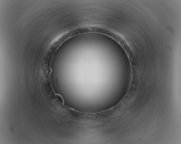 X0000114690871200910211310