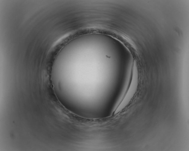 X0000114690872200910211310