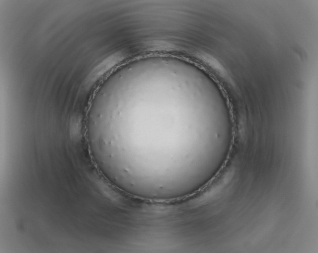 X0000114690873200910211310