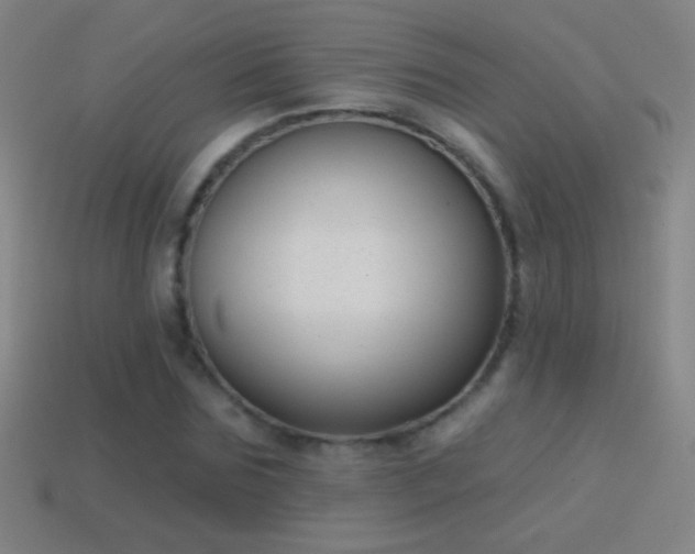 X0000114690875200910211310
