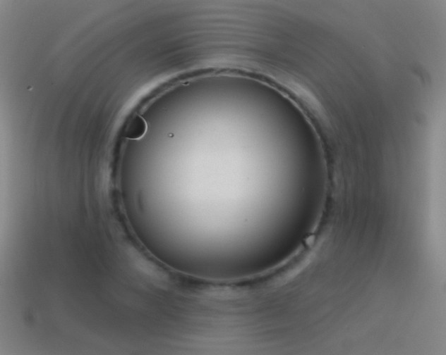 X0000114690880200910211310