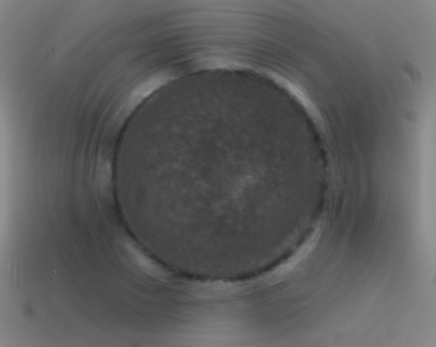 X0000114690881200910211310