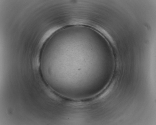 X0000114690885200910211310